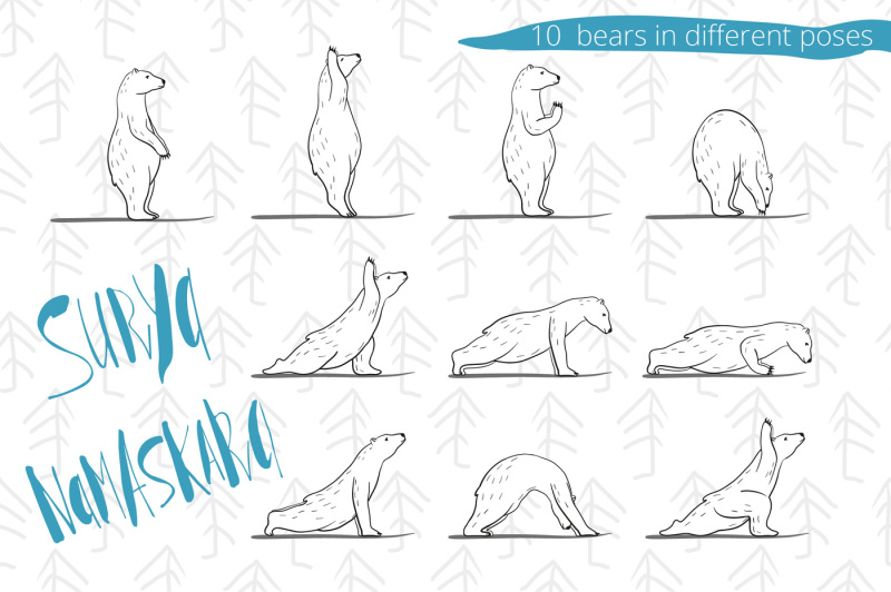 bear-s-yoga-polar-yoga