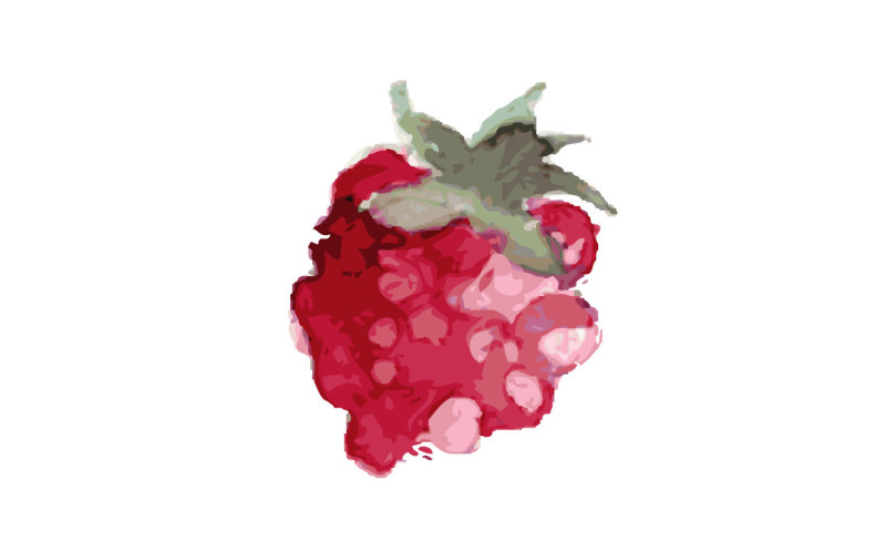 raspberries-watercolor