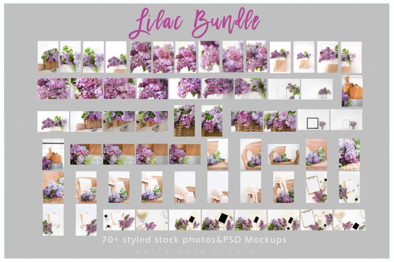 lilac-bundle
