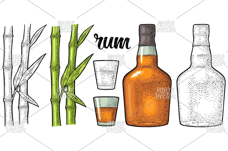 glass-and-bottle-of-rum-with-sugar-cane-vintage-vector-color-engravin