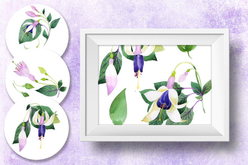 purple-fuchsia-png-watercolor-flower-set