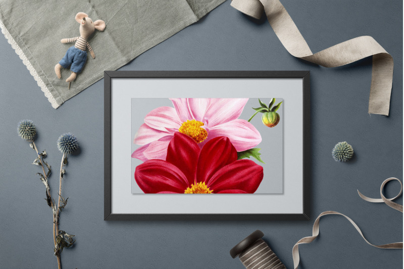dahlia-flowers-clipart