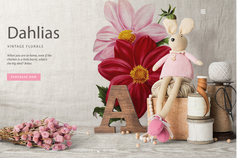 dahlia-flowers-clipart