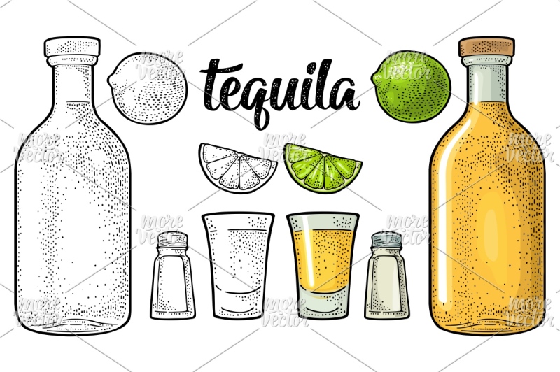 glass-bottle-salt-and-lime-vintage-color-vector-engraving
