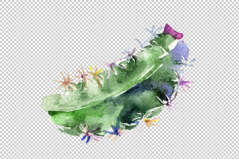 green-tropical-cactuses-png-watercolor-set