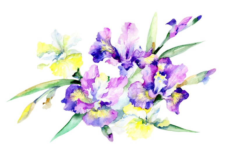 purple-bouquet-flowers-png-watercolor-set