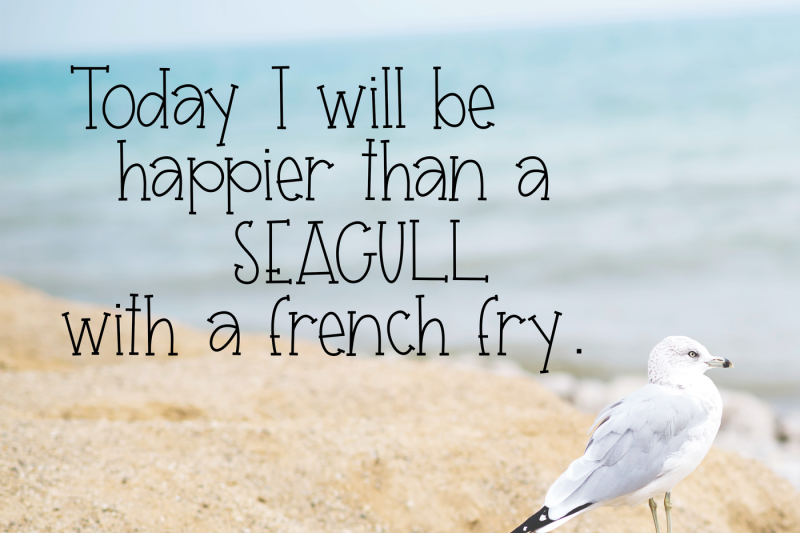 seagull-a-fun-handwritten-font