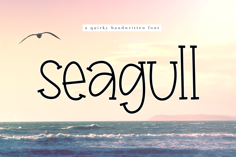 seagull-a-fun-handwritten-font