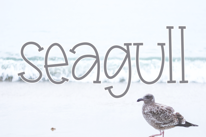 seagull-a-fun-handwritten-font