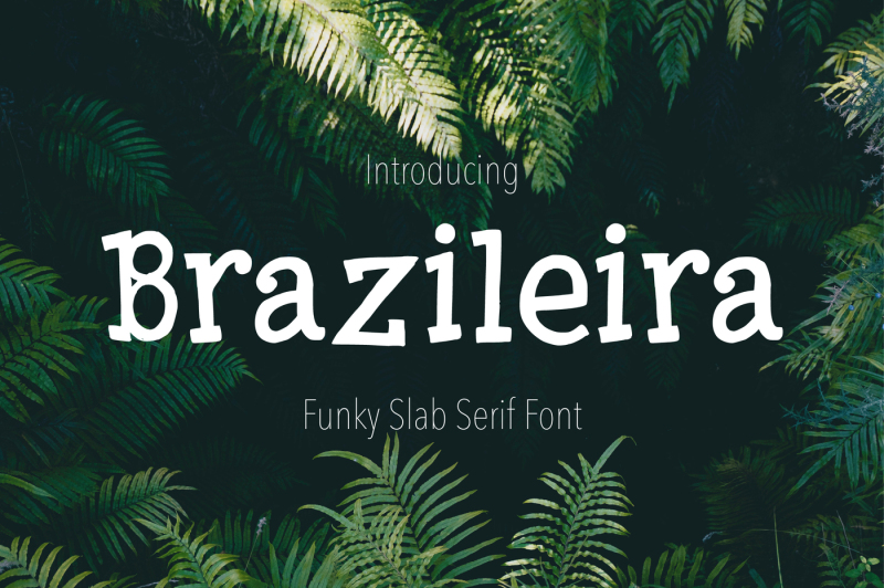 brazileira-slab-serif-font
