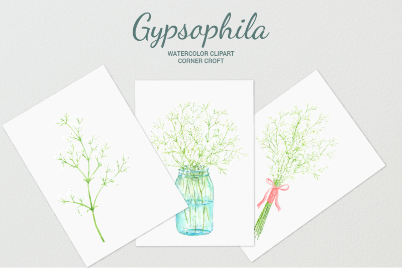 watercolor-gypsophila-clipart