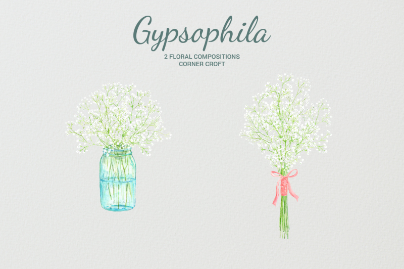 watercolor-gypsophila-clipart