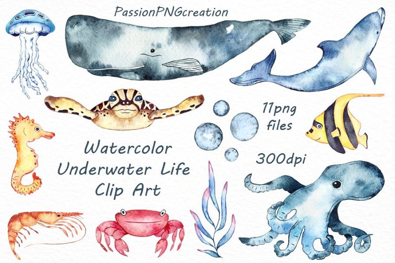 watercolor-underwater-life-clipart