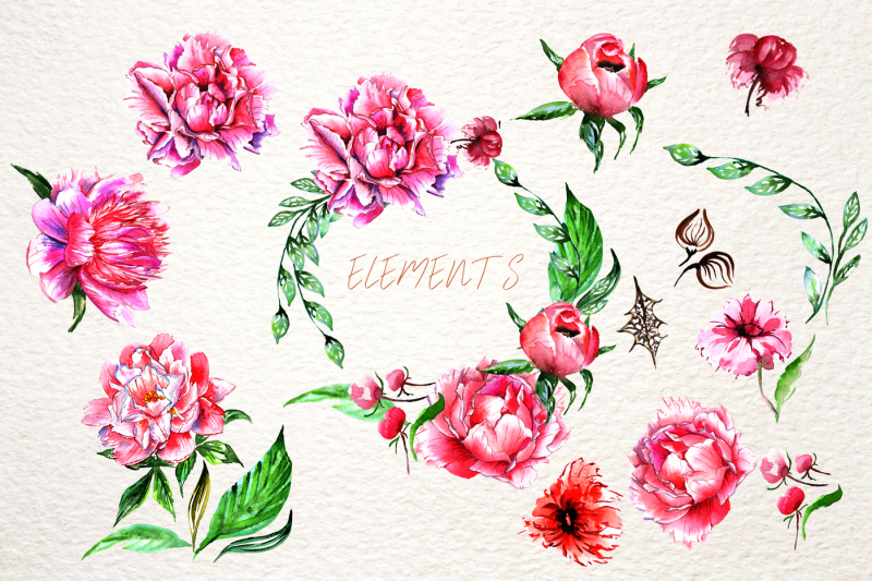 lovely-pink-peony-png-watercolor-set