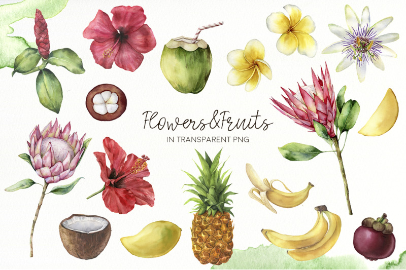 tropical-summer-watercolor-clip-art