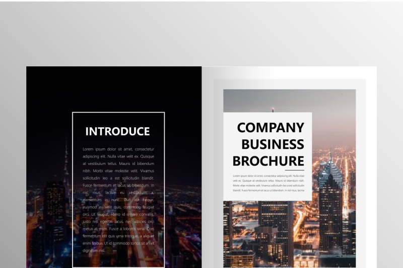 elegant-company-brochure-template-bundle