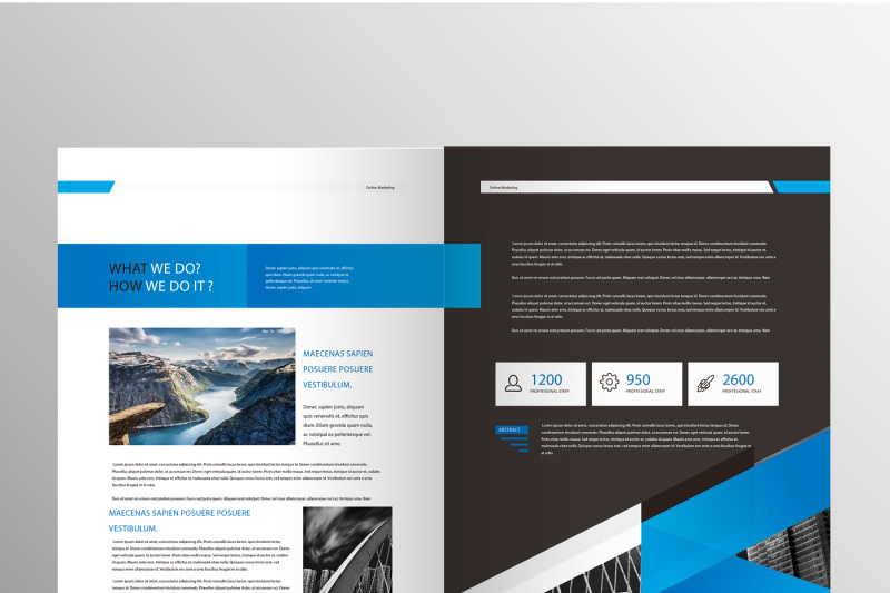 professional-blue-company-report-brochue-template