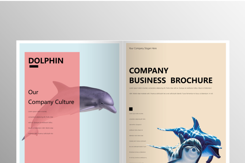 elegant-comapny-brochure-template-bundle