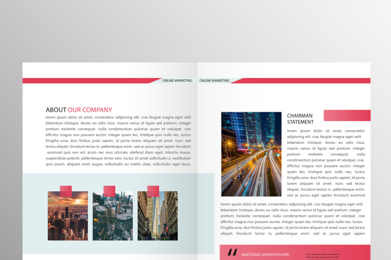 professional-red-brochure-report-template-bundle