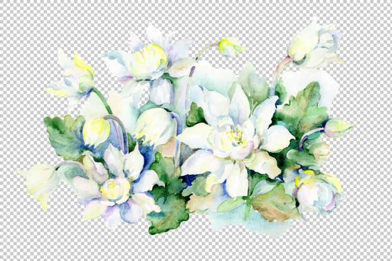 aquarelle-white-bouquet-png-watercolor-set