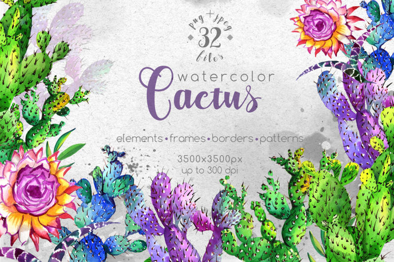 watercolor-cactuses-png-wildflower-set