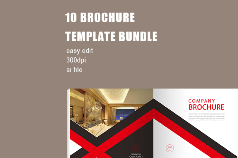 professional-company-brochure-template-bundle