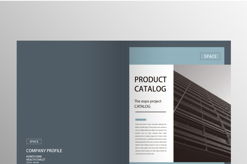 elegant-company-profile-brochure-template-bundle