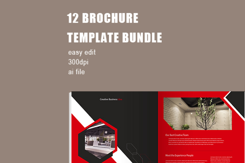 red-professional-company-brochure-template-bundle