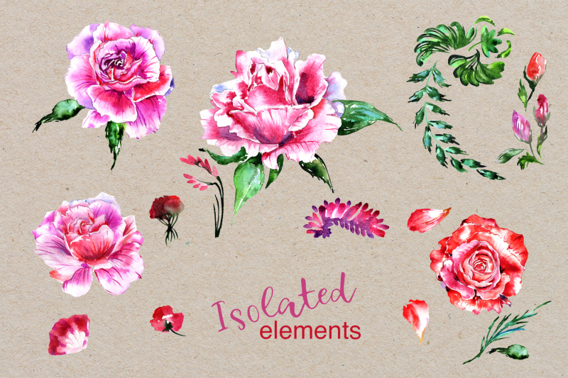 holiday-pink-roses-png-watercolor-set