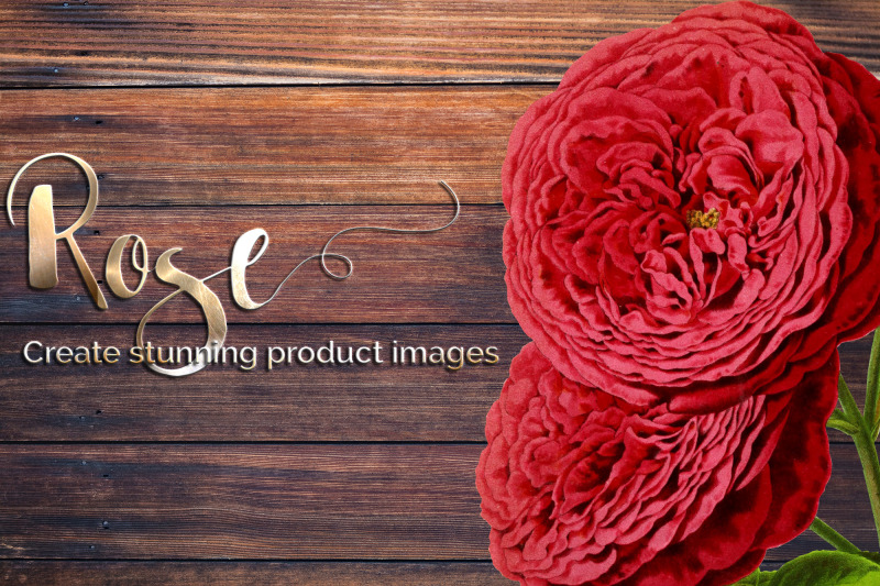 red-rose-clipart