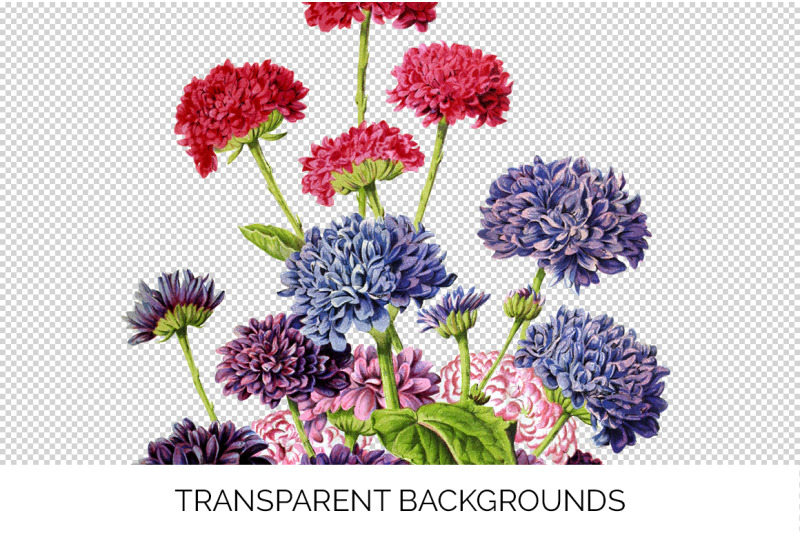 flower-bouquet-clipart