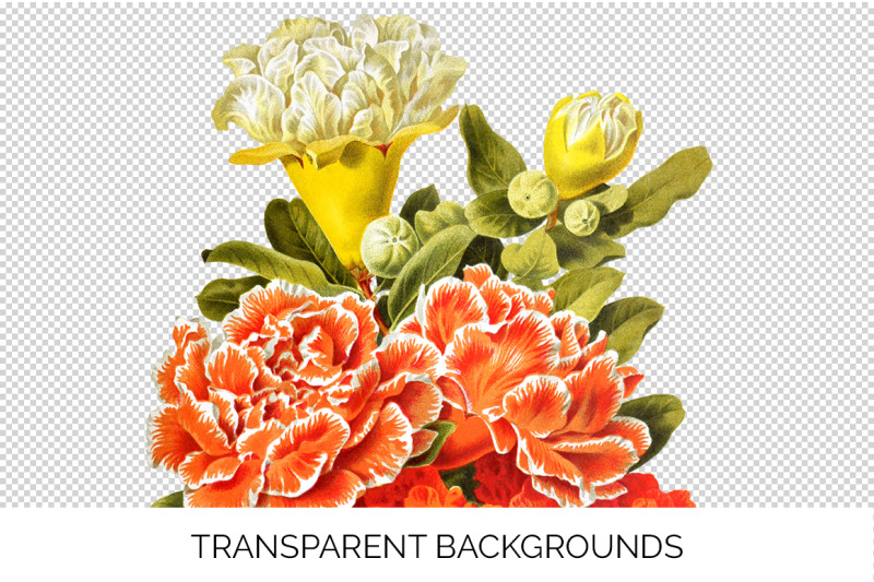 orange-flowers-clipart