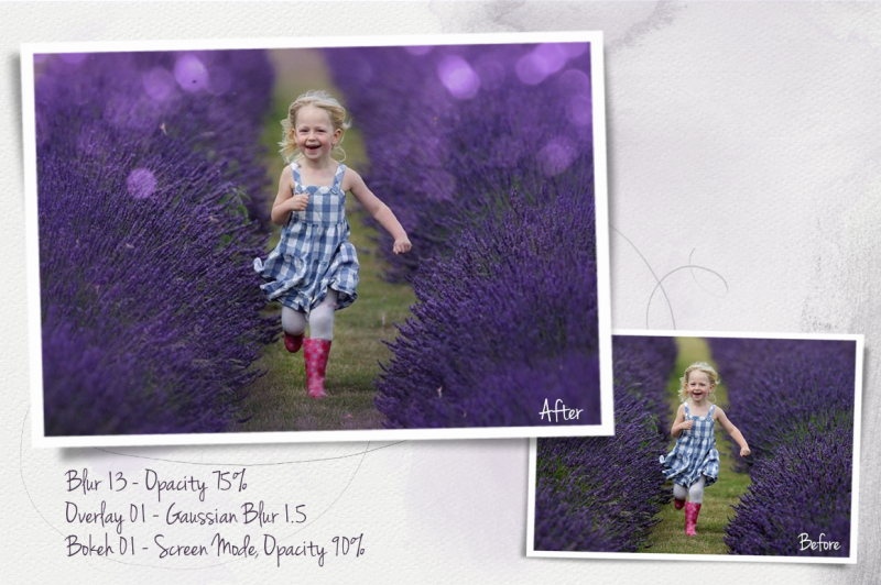 40-lavender-overlays
