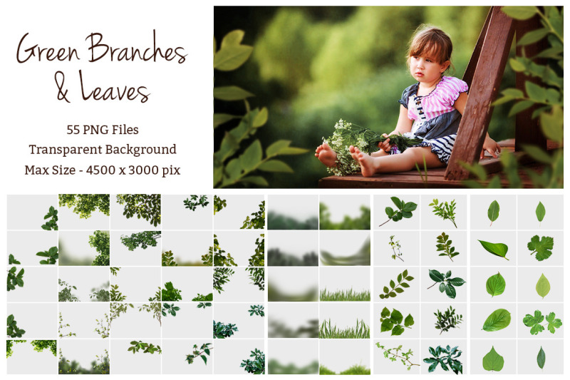 green-branches-and-leaves-overlays
