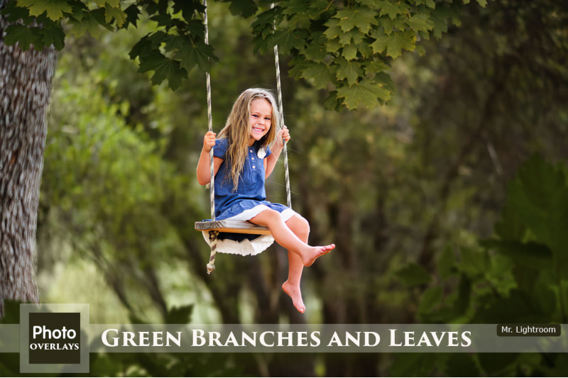 green-branches-and-leaves-overlays