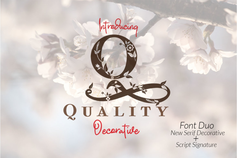 quality-decorative-font-duo