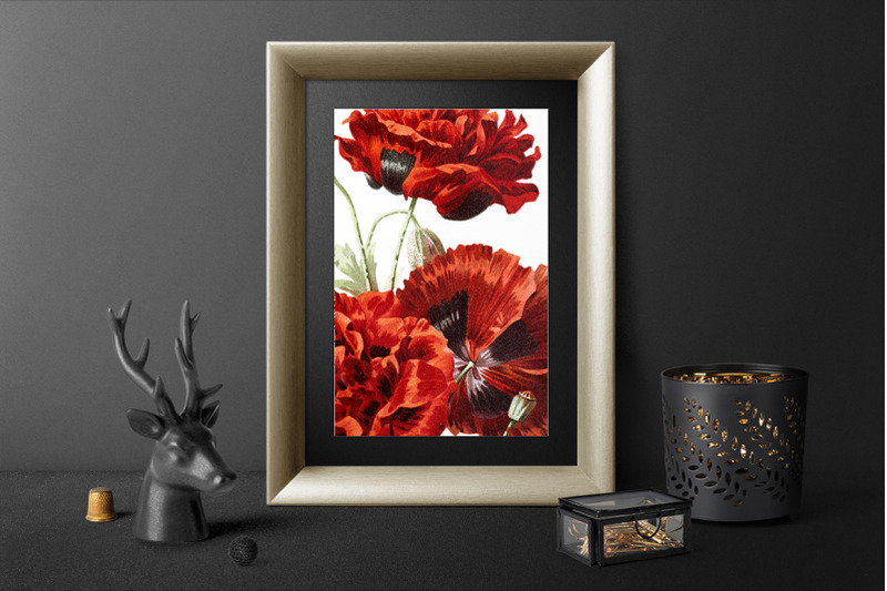poppies-clipart