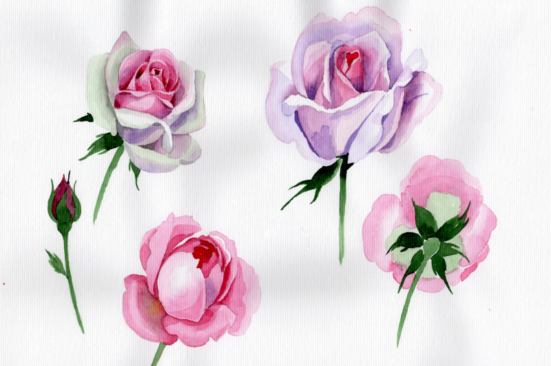 pink-rose-watercolor-flower-png