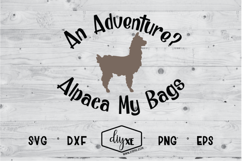 an-adventure-alpaca-my-bags