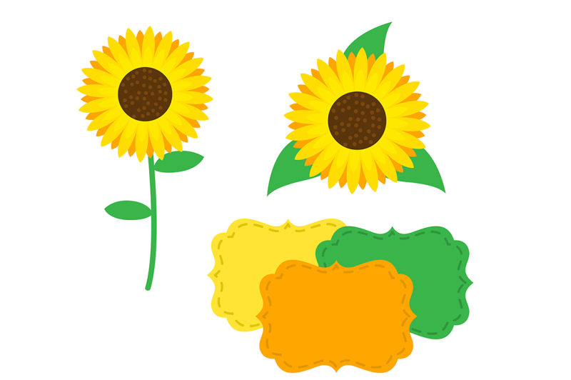 sunflower-digital-paper-floral-background-flowers-pattern
