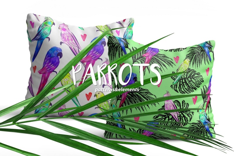 parrot-s-love