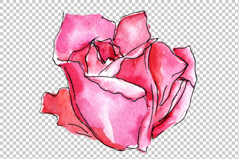 fine-pink-rose-png-watercolor-flower-set