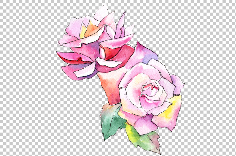 fine-pink-rose-png-watercolor-flower-set