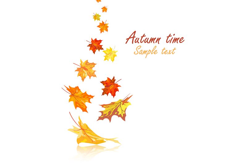 autumn-maple-leaves