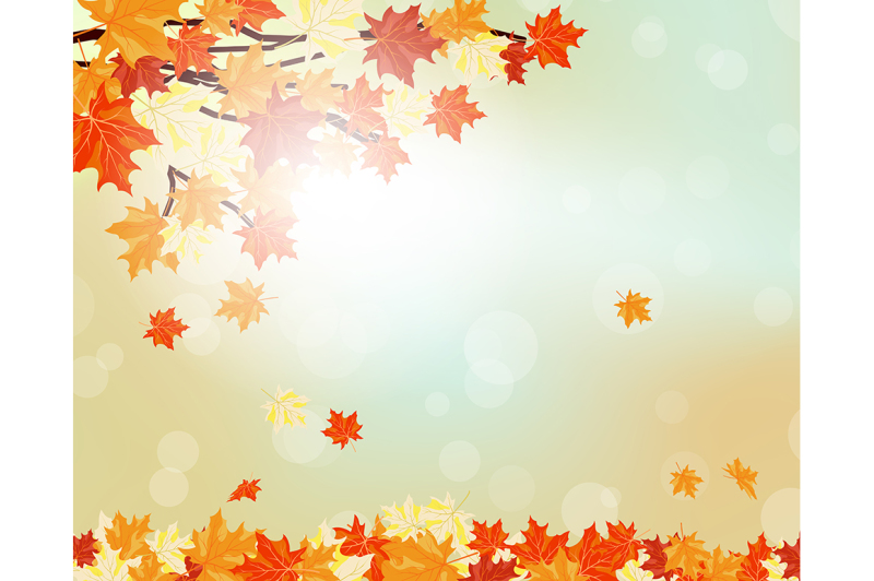 autumn-maple-leaves