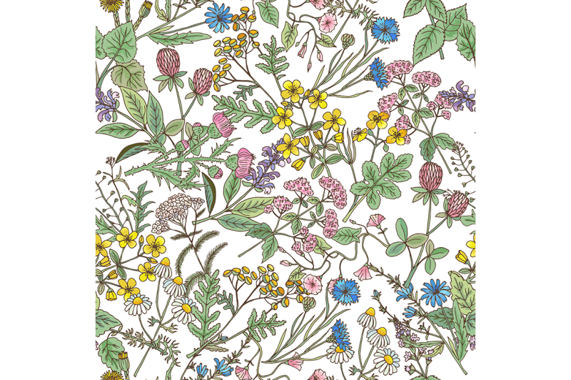 hand-drawn-herbs-background