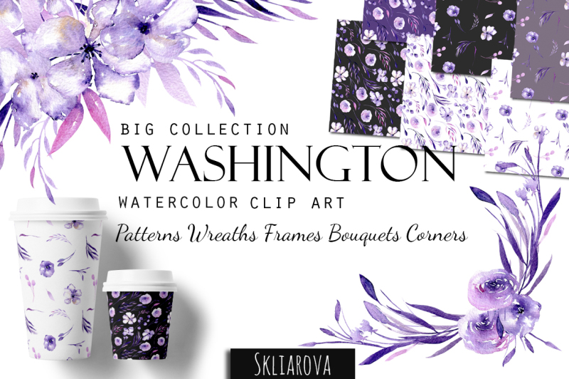 washington-big-purple-collection
