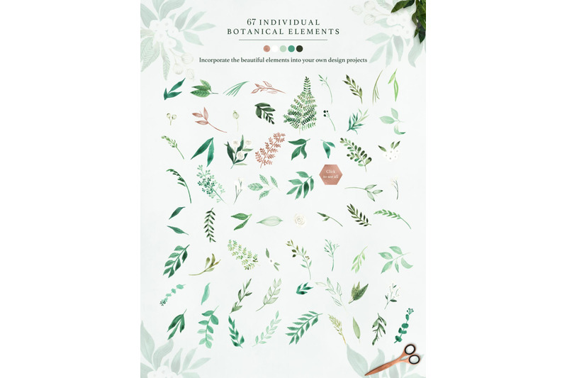 botanist-watercolor-greenery-leaves