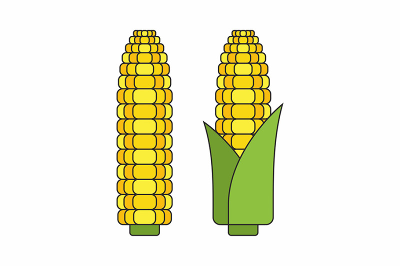 corn-cobs