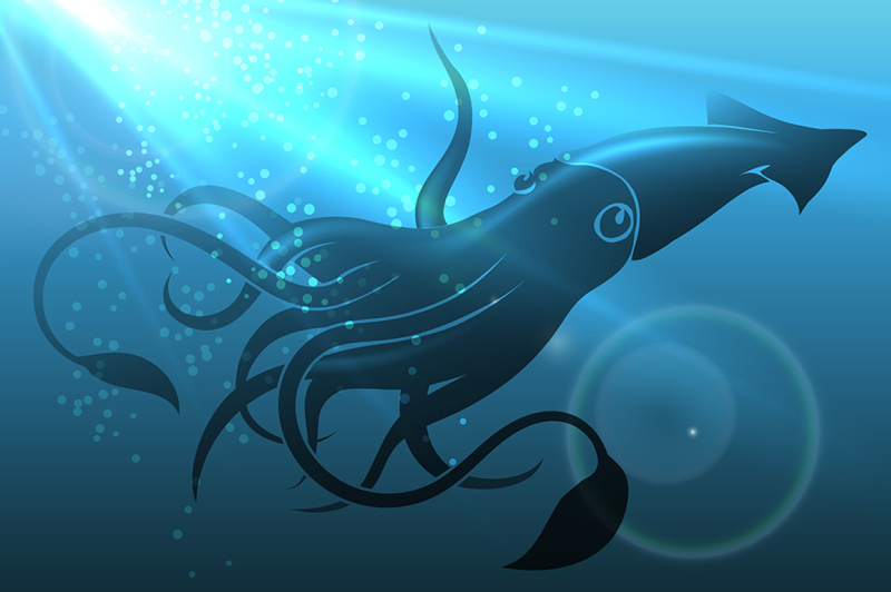 giant-squid-illustration